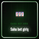 Bir kullanıcının dizüstü bilgisayarda Saha bet giriş ekranını açması.